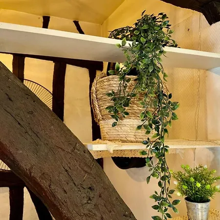 Vera Confortable Sous Les Combles !