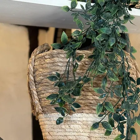 Vera Confortable Sous Les Combles ! Apartment *