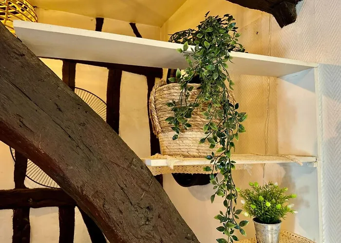 Vera Confortable Sous Les Combles !