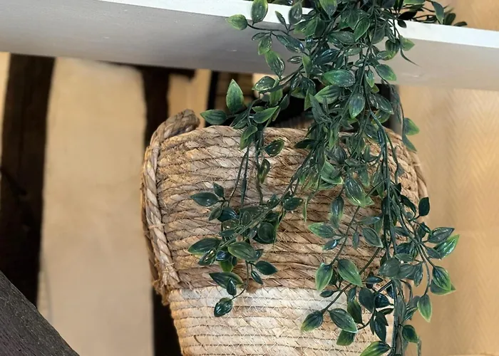 Vera Confortable Sous Les Combles ! Appartement *