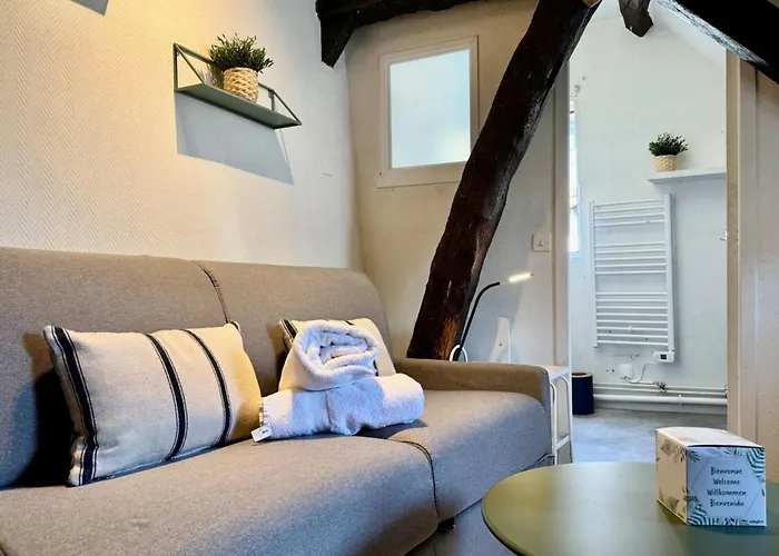 Vera Confortable Sous Les Combles ! * Rouen